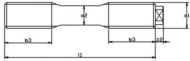 DIN 2510 Form Z Stud Bolts